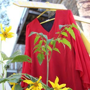 Meet your Posher, Lindsay